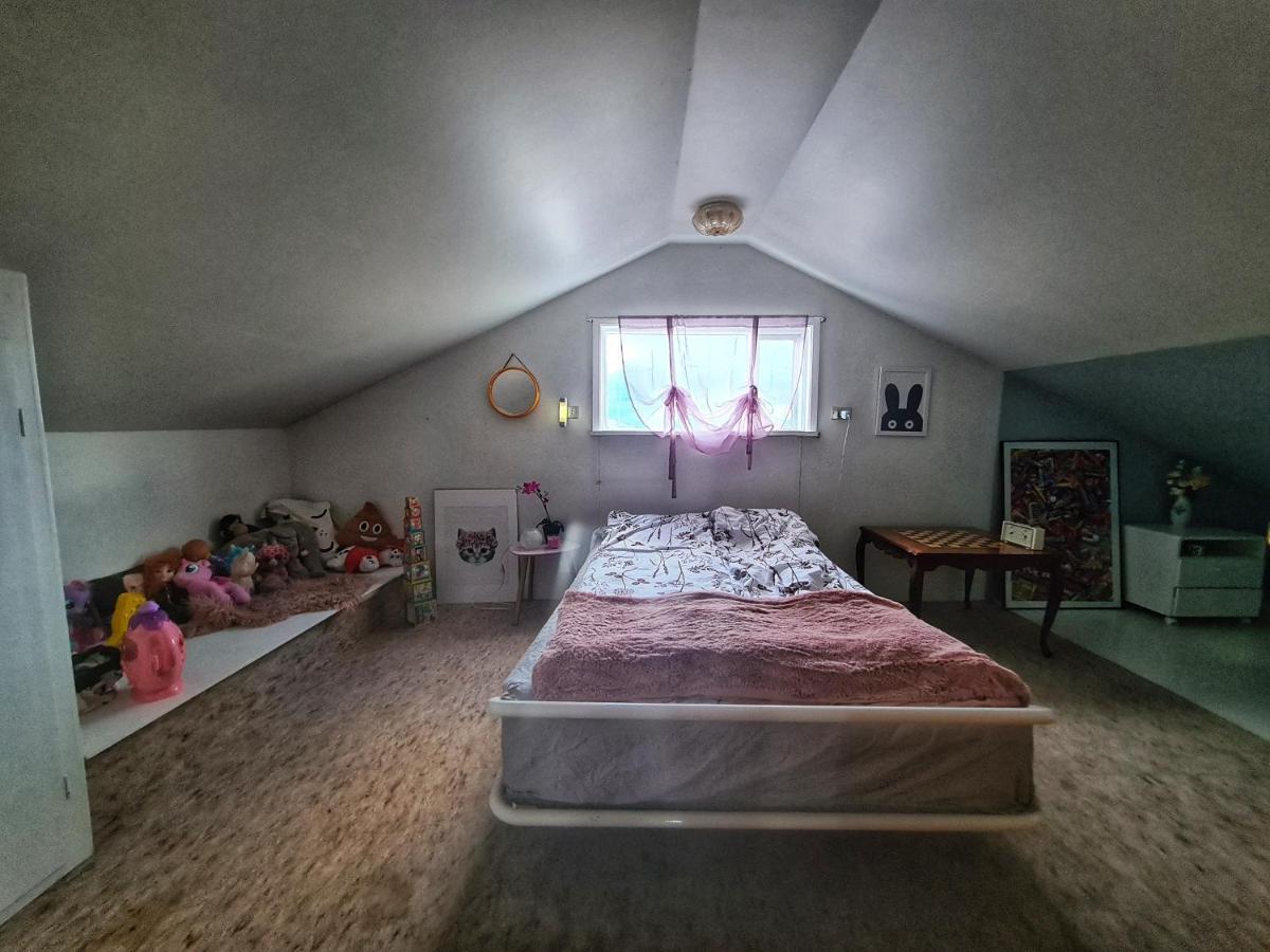 הוילה Húsavík Holkot Scenic Farm מראה חיצוני תמונה